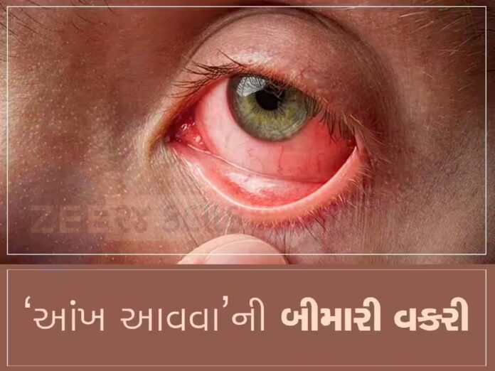 વાયરસ