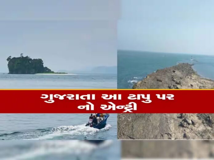 ટાપુ