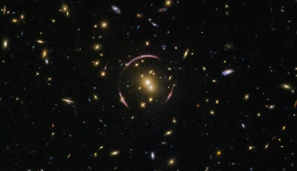Cosmic cloning SDSSJ0146 0929