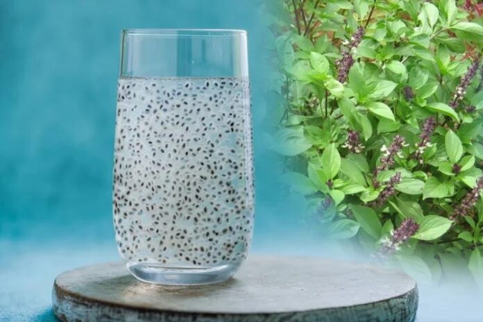 basil seed water