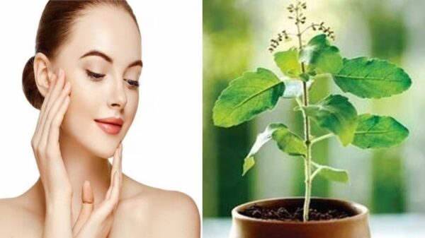 skin chia seeds benefits1 1