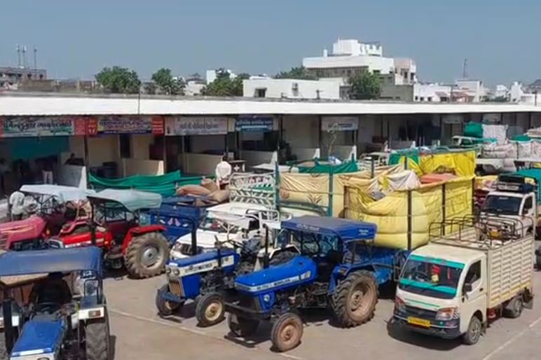 હિંમતનગર માર્કેટીંગ યાર્ડમાં મગફળીની મબલખ આવક