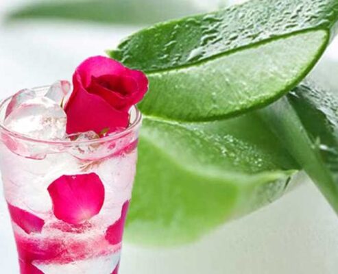 aloe vera with rose 