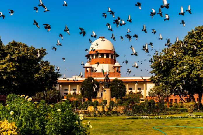 Government Vs Governor Case
