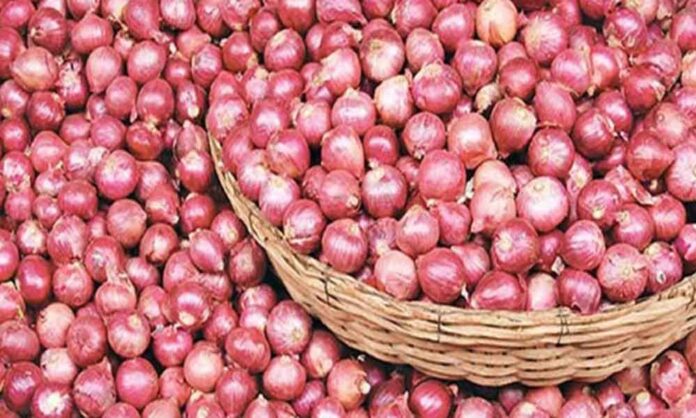 ડુંગળી