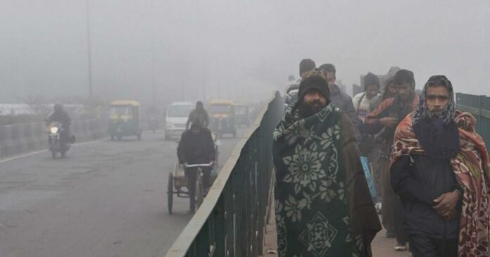 Cold Wave Punjab Weather Report