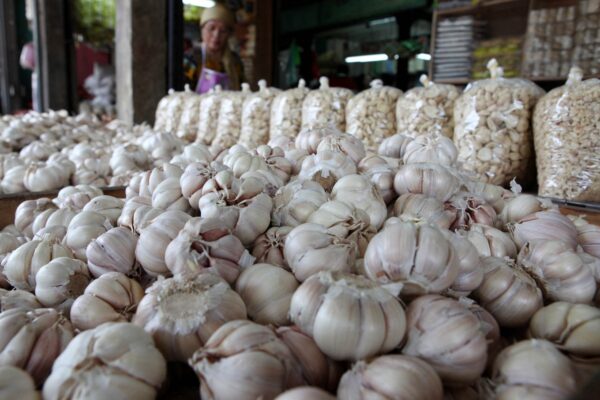 Garlic Price