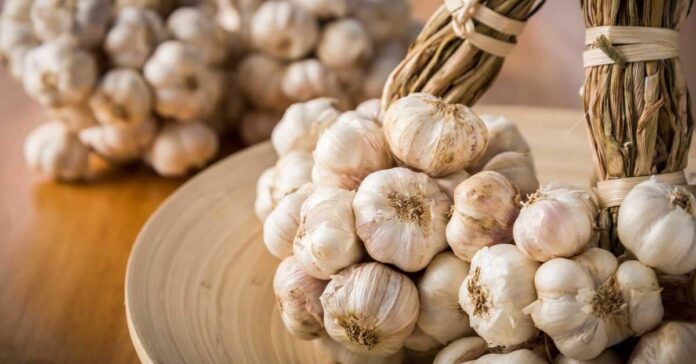 Garlic Price Hike Top