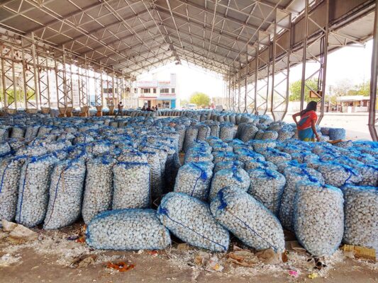 Garlic in mandi