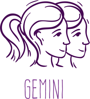 Z 3 Gemini 4