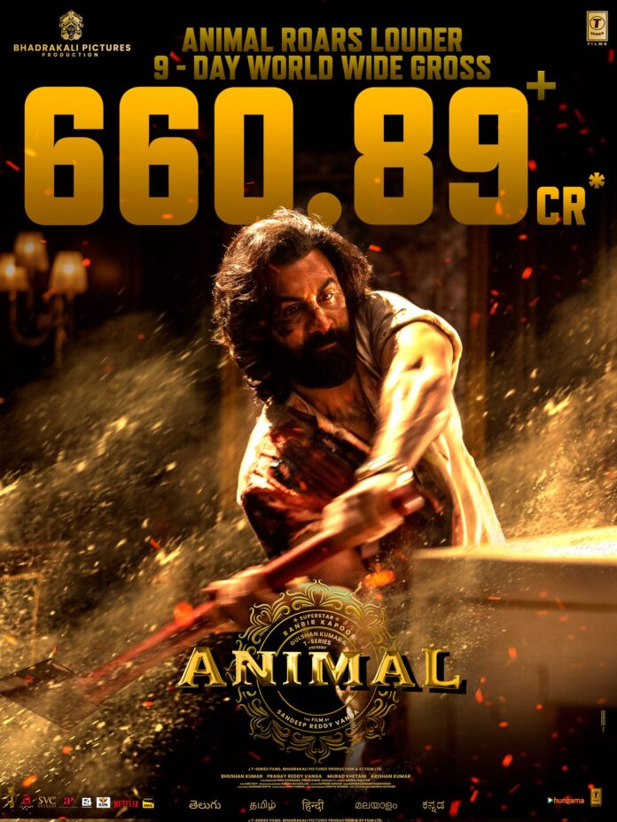 Animal