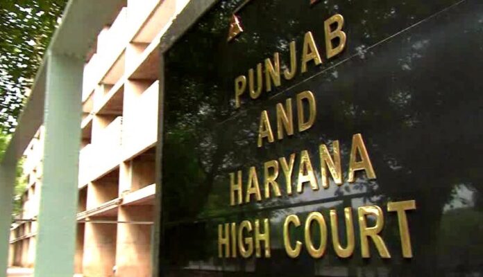 punjab high court