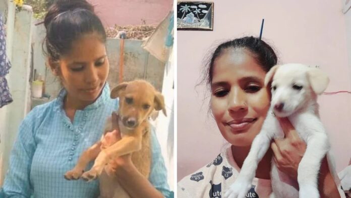 आवारा कुत्तों की देखभाल के लिए लाख का लोन