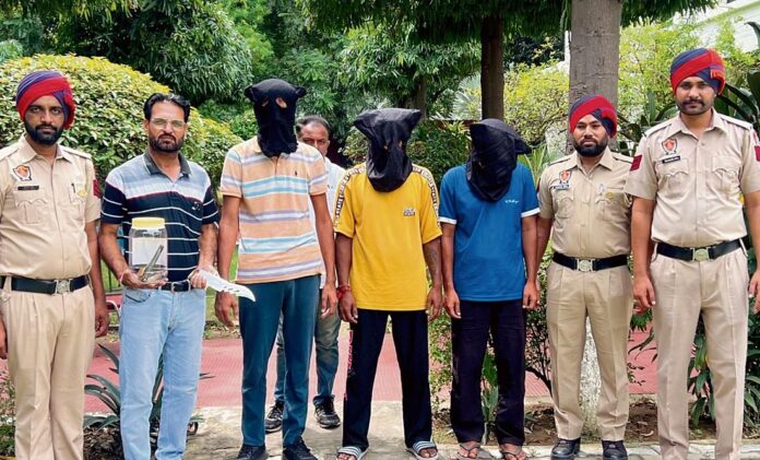 Punjab समाचार: पटियाला पुलिस ने अर्श डल्ला गैंग के तीन बदमाशों को गिरफ्तार किया, एक बड़ी सफलता मिली 