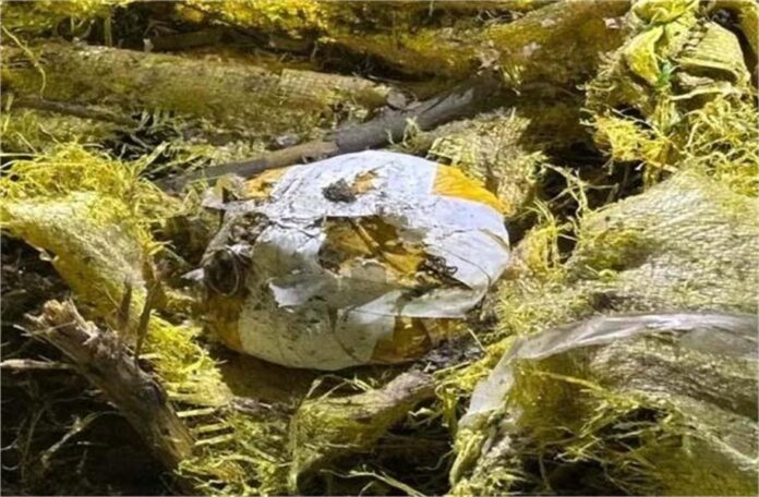 हेरोइन बरामद, पुलिस को मिली कामयाबी