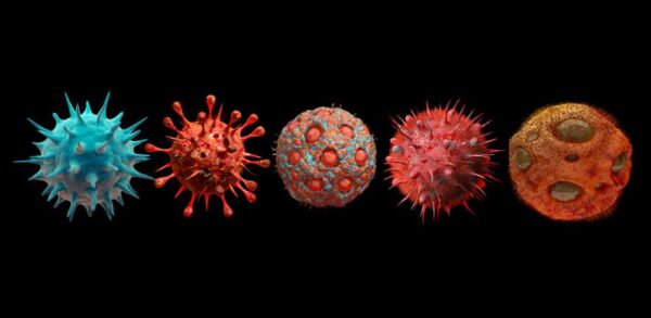 New Virus 