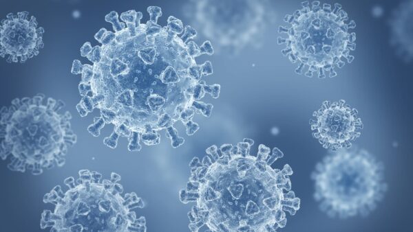 New Virus 