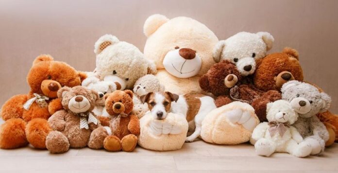 Teddy Day 2024