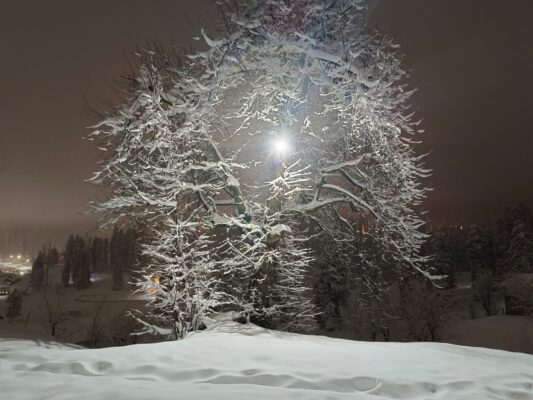 Jammu and Kashmir Snow Flow