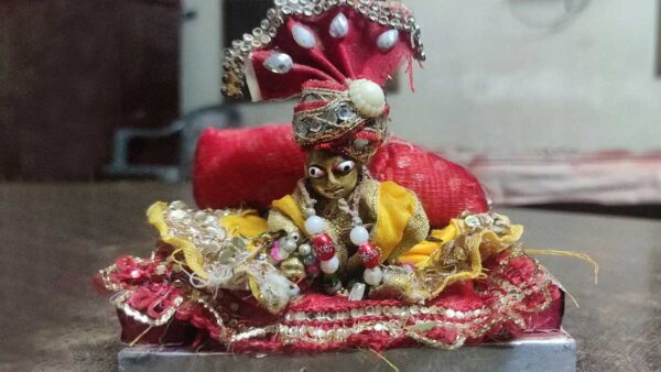 Laddu Gopal : 2 લડ્ડુ ગોપાલ ઘરમાં રાખશો તો શું થશે? જાણો અહીં...
