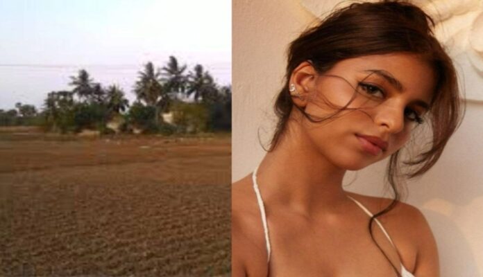Suhana Khan: શાહરૂખ ખાનની દીકરી સુહાના ખાને અલીબાગમાં ખરીદી જમીન, કિંમત જાણીને ચોંકી જશો