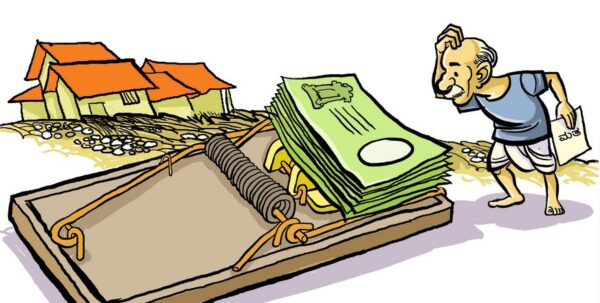SC on Election