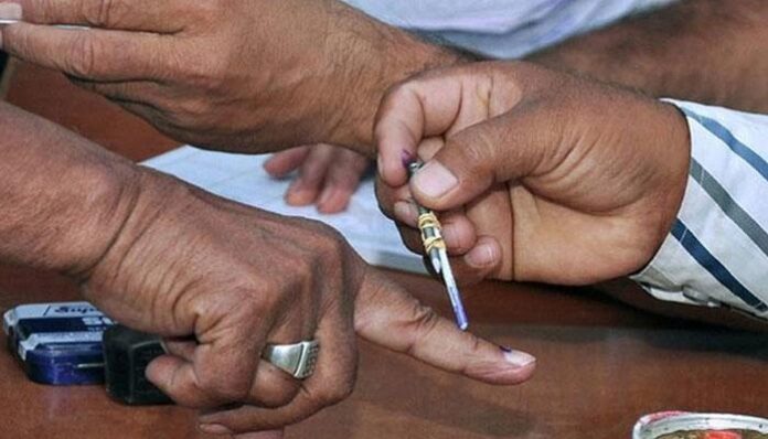Gujarat Election 2024: ગુજરાતમાં 5 વિધાનસભા બેઠકોની પેટાચૂંટણી, વિસાવદરને કેમ રાખવામાં આવી બાકાત?