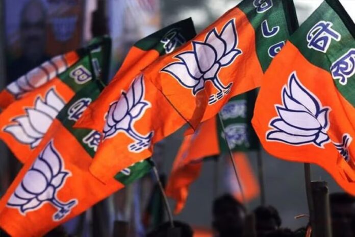 No Repeat Theory: ક્યાં ગઈ ભાજપની 'નૉ રિપીટ થિયરી', કેમ કે ભાજપે 12 સાંસદો રિપીટ કર્યા છે