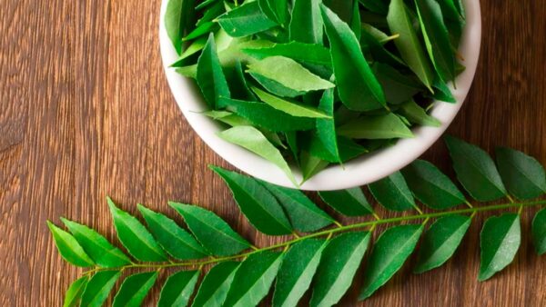 Advantages of Curry leaves