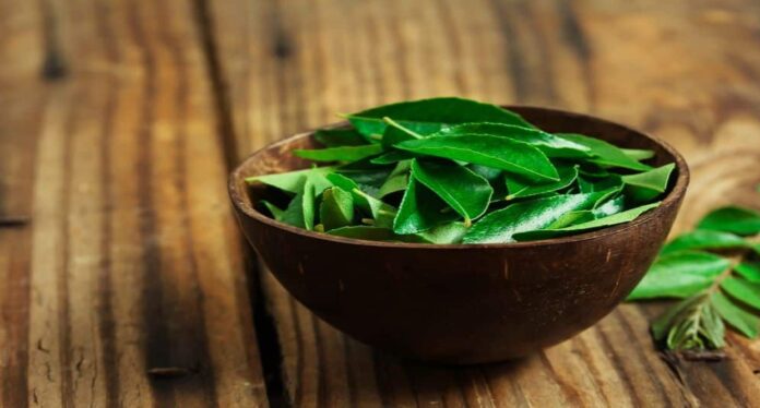 Curry leaves: મીઠા લીંબડાના માત્ર ફાયદા જ નથી ગેરફાયદા પણ છે, ઉપયોગ કરતા પહેલા ધ્યાન રાખો...