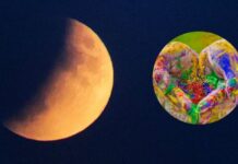 Chandra Grahan 2024 : ધૂળેટીના દિવસે વર્ષનું પ્રથમ ચંદ્રગ્રહણ !! જાણો કઈ રાશી માટે શુભ છે આ ગ્રહણ ? Chandra Grahan 2024