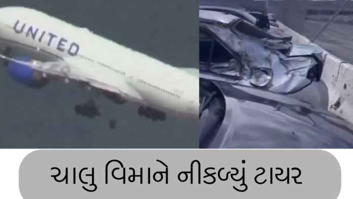 flight accident live video
