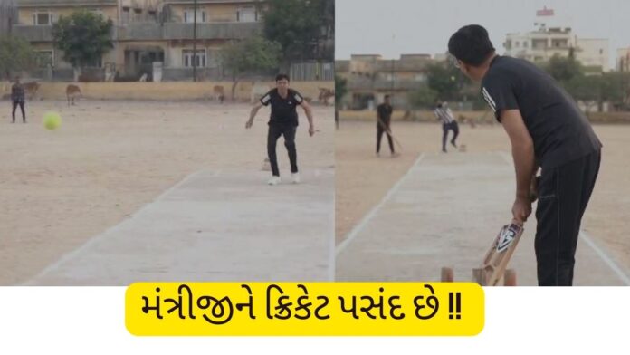 mansukh mandviya