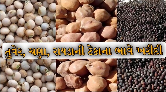 GUJARAT NEWS