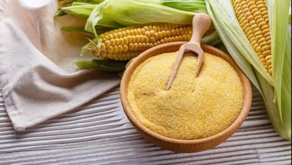 Bad Cholesterol: ખરાબ કોલેસ્ટ્રોલને નિયંત્રણમાં રાખવા માટે ઘઉંના લોટની જગ્યાએ આ લોટમાંથી બનેલી રોટલીનું સેવન કરો