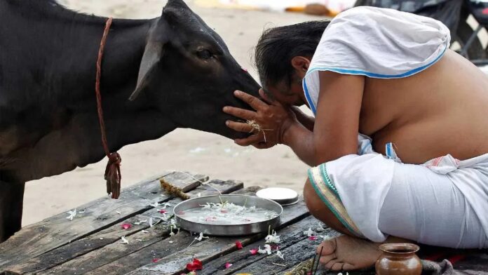 Dream Astrology: સપનામાં આવે છે ગાય..! આ છે શુભ સંકેત