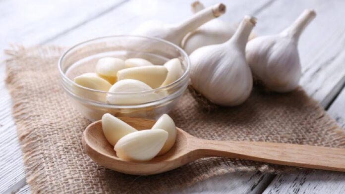 Garlic Secrets : લસણનો રસપ્રદ ઇતિહાસ અને ભારતમાં તેના આગમનની કહાણી