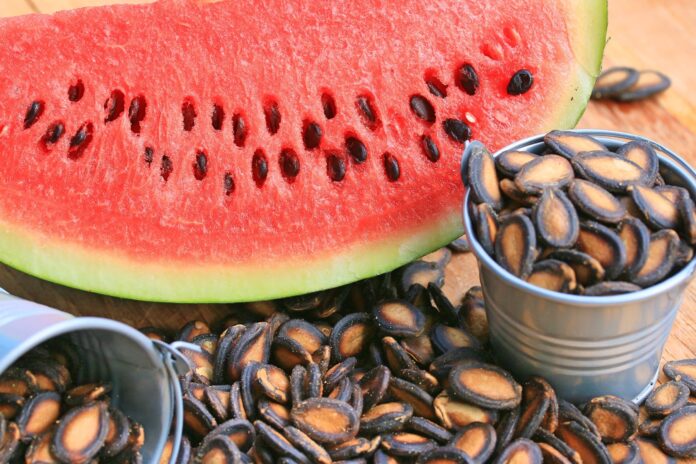 Watermelon Seeds: માત્ર તરબૂચ જ નહીં, તેના બીજ પણ ગુણોનો ભંડાર, ફાયદા જાણશો તો ફેંકી દેવાની ભૂલ નહીં કરો