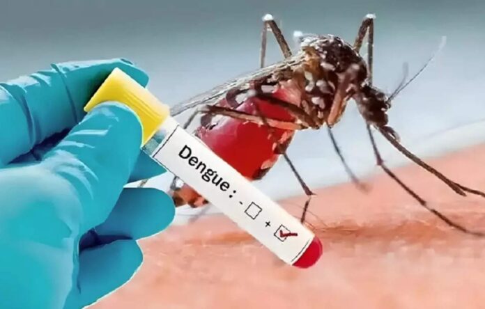 medicines for dengue fever