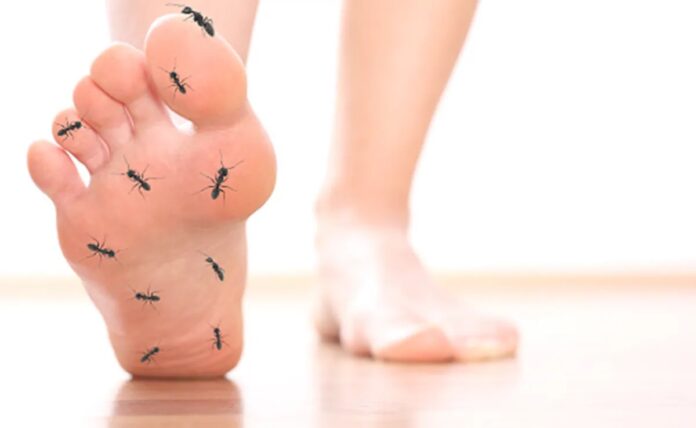 Tingling feet-hand: વારંવાર પગ અને હાથોમાં કળતર કે સુન્ન થઈ જવાનું અનુભવો છો? આ ગંભીર બીમારીની નિશાની હોઈ શકે છે