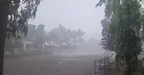 Unseasonal Rains In Gujarat