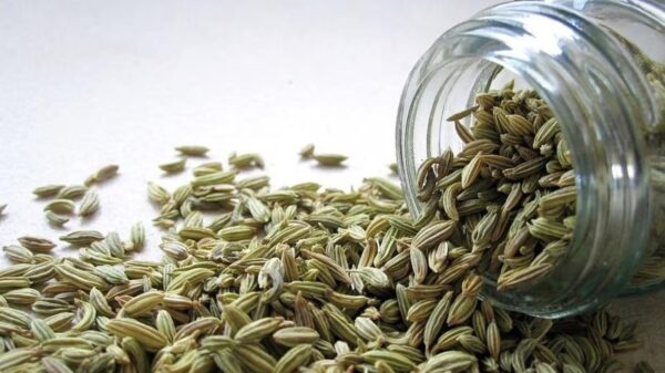 Fennel - Home Remedies For Acidity