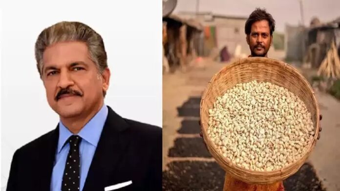 Fox Nuts: આનંદ મહિન્દ્રાને છે આ વસ્તુની લત, વાઈરલ પોસ્ટ જોઈને યુઝર્સે કહ્યું- એમ જ વર્લ્ડ ફેમસ નથી આ..!