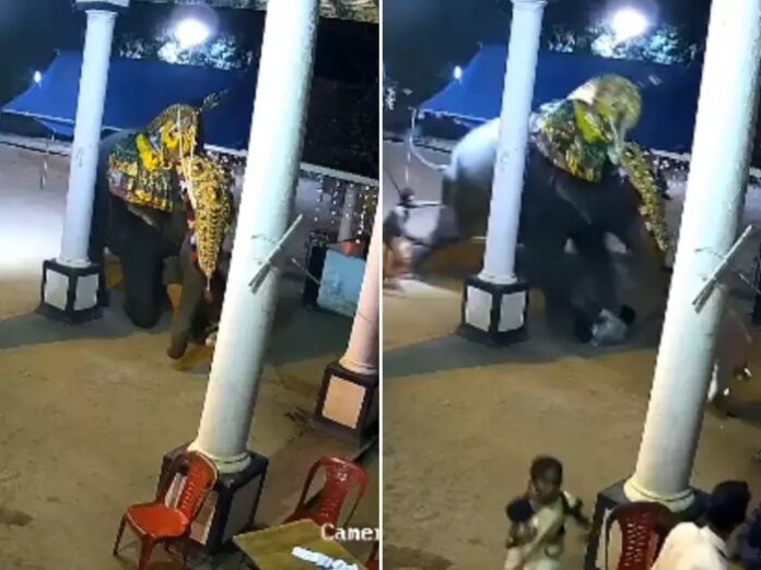 Hathi Video: મંદિરમાં પૂજા દરમિયાન પાગલ હાથીએ મહંતને કચડી નાખ્યો, હિંચકારી ભર્યો વીડિયો વાયરલ