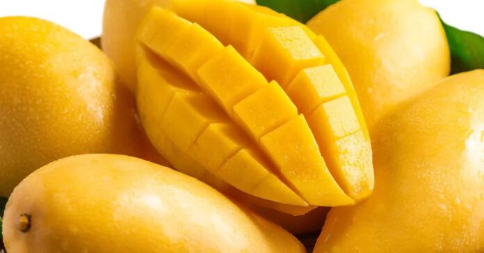 Mango Tips: શું તમે તો કેમિકલ વાળી કેરી નથી ખાતા ને..? કેવી રીતે ઓળખશો કેમિકલયુકત કેરીને...