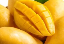 Mango Tips: શું તમે તો કેમિકલ વાળી કેરી નથી ખાતા ને..? કેવી રીતે ઓળખશો કેમિકલયુકત કેરીને… Mango Tips: શું તમે તો કેમિકલ વાળી કેરી નથી ખાતા ને..? કેવી રીતે ઓળખશો કેમિકલયુકત કેરીને...