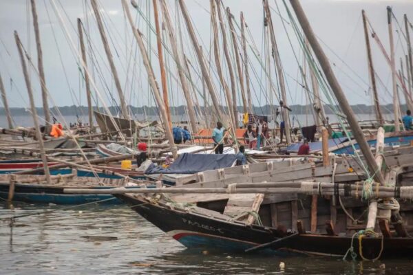 Mozambique News