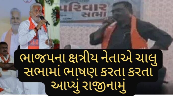 BOTAD BJP NEWS