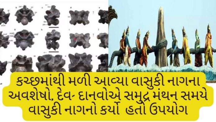 Vasuki In Kutch