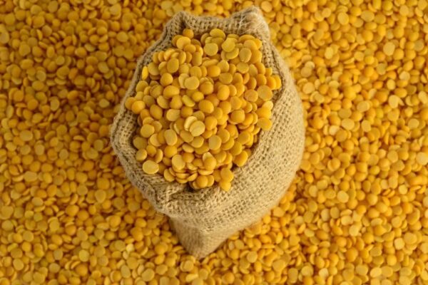 Price of Pulses: ગૃહિણીઓ માટે માઠા સમાચાર